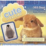 Cute Overload Page-A-Day Calendar 2009 (Color Page-A-Day(r) Calendars) ~ Meg Frost