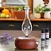 ArOmis Premium Glass Essential Oils Nebulizer - Waterless Diffuser for Aromatherapy - Handmade Oil Diffuser, Wooden Base, No Plastic, No Heat, No Battery, No LEDs - Orbis Nox Merus
