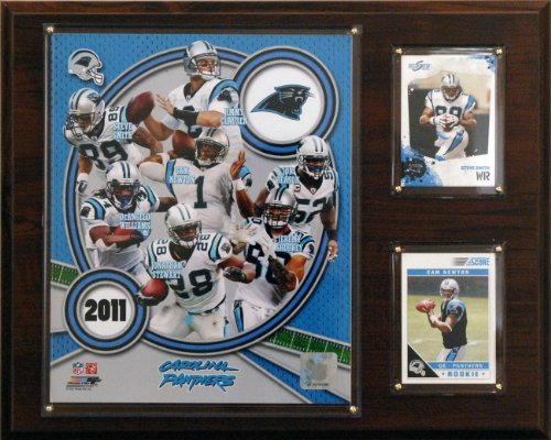 NFL Carolina Panthers 2011 Team Plaque