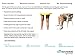 BeVisible Sports Knee Compression Sleeve For Men & Women