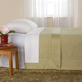 Aerobed® Raised Perfect Comfort Guest Bed, Twin by Aero