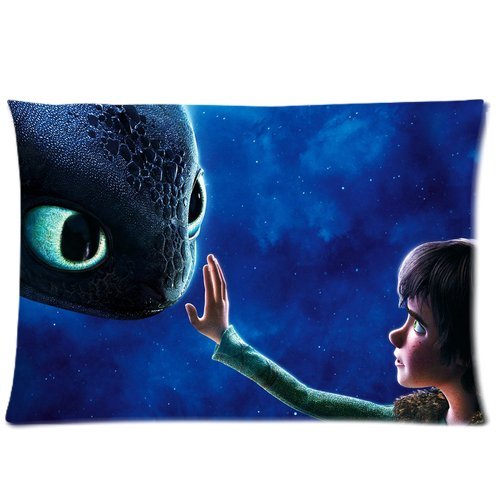 How to Train Your Dragon Custom Zippered Pillow Cases 20