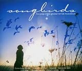 Songbirds - Rachel Earwicker, Zoe Nicholas, Charlie Doidge