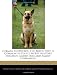 German Shepherds: The Breed that is Common in Police Word, Military Strategy, Guard Dog and Family Companion.