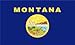 Montana State Flag 3x5 3 x 5 MT USA Banner
