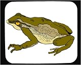 Decorated Mouse Pad with frog, green, sitting, amphibian, spots