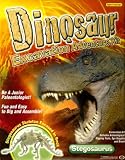 Dinosaur Adventure Excavation: Stegosaurus (Kid Kits)