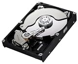 Samsung F3 HD203WI EcoGreen 2TB interne Festplatte (8,9 cm (3,5 Zoll), 5400rpm, SATAII, 32MB Cache)