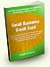 Small Business Credit Card; Utilize Business Credit Cards To Increase Your Small Business As You Learn About How To Leverage Credit Cards, Reduce Debt, Use Them To Document Expenses, And More!