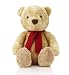 Medium Spencer Bear Medium Spencer Bear