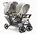 Graco - Poussettes  - Stadium Duo (2 Tabliers) Gasha