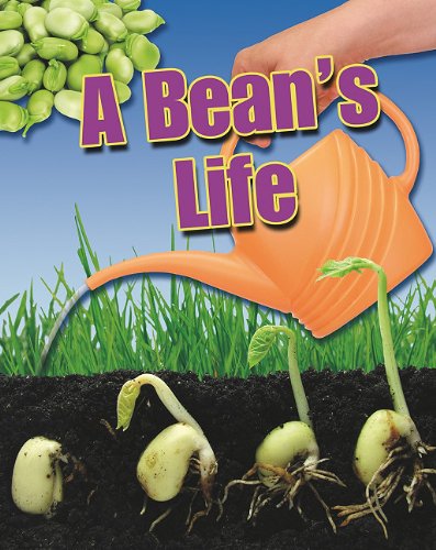 A Bean's Life (Crabtree Connections)