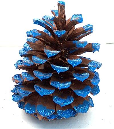 Add Unique All Natural 3 - 4 Inch Sapphire Ponderosa Pine Cones To Holiday Season Decorations and Vase Fillers