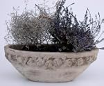 Jardiniere, �bertopf, Keramik mit Ros...