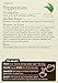 Traditional Medicinals - Organic Peppermint Tea - 16 Tea Bags