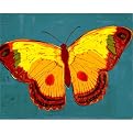Brilliant Teal Butterfly 16x20"
