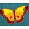 Brilliant Teal Butterfly 16x20"