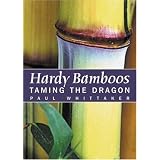 Hardy Bamboos: Taming the Dragon