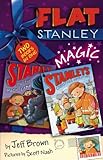 Flat Stanley magic