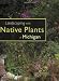 Landscaping with Native Plants of Michigan