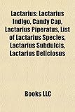Lactarius: Lactarius Indigo, Candy Cap, Lactarius Piperatus, List of Lactarius Species, Lactarius Subdulcis, Lactarius Deliciosus-