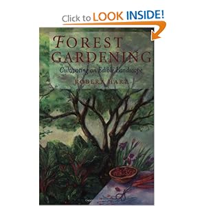 Forest Gardening: Cultivating an Edible Landscape