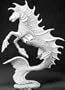 Hippocampus