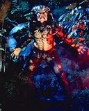 PREDATOR 24X36 COLOR POSTER PRINT