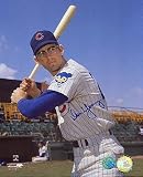 Don Young Chicago Cubs Autographed 8x10 Photograph