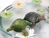 Eigenschaften HDG  / TEICHSCHWIMMER SCHWIMM SCHILDKRÖTE 2ER SET NESSI 10 CM GARTENDEKO