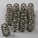 Competition Cams 2691816  Valve Spring