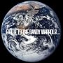 ...Earth to the Dandy Warhols...