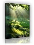 Produkt-Bild: Keilrahmenbild Wiese - fertig gerahmt auf Keilrahmen, Qualit&auml;tsware 100% Made in Germany! Unser Service f&uuml;r Sie - 1 Jahres Garantie auf unsere Bilder. Das ideale Geburtstagsgeschenk.
