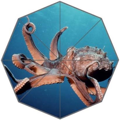 POOKOO! Best Custom Cute Animal Octopus Compact 43.5 Inch Foldable Umbrella, Women Umbrella,Men Umbrella,Travel Umbrella,Children Umbrella!Good gift!