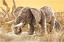 Plush Elephant Puppet 20"