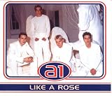Like A Rose [CD 1] [CD 1]