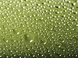 IMAGE OF Drops and Droplets of Water on a Sheet of Glass Photographic Poster Print by Taylor S. Kennedy, 30x40