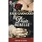 Bon livre (romance, passion, etc...)