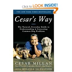 Cesar's Way: The Natural, Everyday Guide to Understanding and Correcting Common Dog Problems
