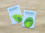 Die Cuts - Leaves(Leaf=Monstera)