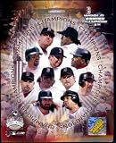 2004 Boston Red Sox World Series Champions Limited Edition 8 x 10 Glossy Photo -Shipped in Protective Top Loader!