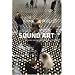 Sound Art: Beyond Music, Between Categories (Book & CD)