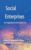 Social enterprises : an organizational perspective