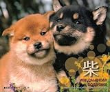 2008ミニカレンダードッグズ柴