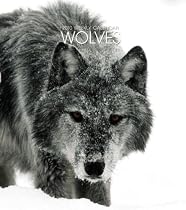 Wolves 2010 Hardcover Weekly Engagement
