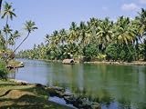 The Backwaters at Chavara, Kerala State, India, Asia Photographic Poster Print