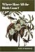 Where Have All the Birds Gone? Essays on the Biology and Conservation of Birds That Migrate to the American Tropics by John Terborgh ISBN 0691024286
