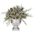 Frosted Pine and Pinecone in Pot