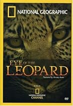 Streaming National Geographic - Eye of the Leopard Online.