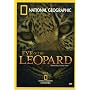 National Geographic - Eye of the Leopard